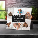 Buscar tendencia mascotas Perro