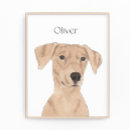 Buscar pinscher posters Rojo