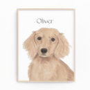 Buscar cabello posters Para todos