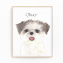 Buscar tzu de shih posters Madre