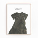 Buscar schnauzer arte Perro