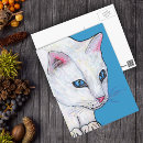 Buscar ojos de gato postales 9 º gata