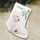 Buscar nombre calcetines navideños Para mascotas