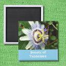 Buscar nashville imanes Viajar