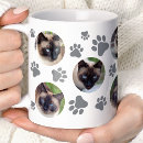 Buscar gatos grises tazas Para todos