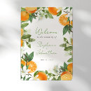 Buscar mandarina posters Vegetación