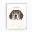 Buscar suegro posters Marido