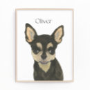 Buscar de pelo corto posters Para todos