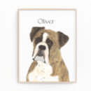 Buscar perro blanco posters Boxeador