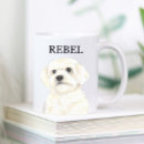 Buscar bichon maltés tazas Bichón