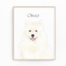 Buscar samoyed arte Perro esquimal estadounidense