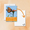 Buscar mariposa monarca azul tarjetas Naranja