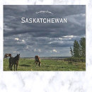 Buscar saskatchewan Provincia