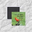 Buscar cardenales imanes Ángeles