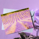 Buscar provence postales Flores