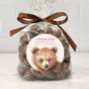 Buscar bear pegatinas 6 º pesadilla