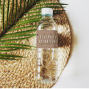 Buscar dinosaurio almacenaje alimentos Para niños