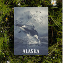 Buscar orca postales Orilla