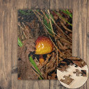 Buscar seta puzzles Naturaleza