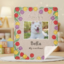 Buscar pet mantas cobertores Dog