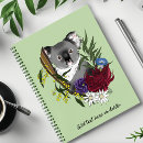 Buscar koala cuadernos Eucalipto