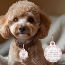 Buscar amante del perro accesorios De amante de perros