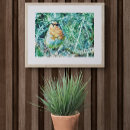 Buscar del petirrojo posters General y unisex