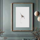 Buscar jay posters Cianocitta cristata