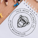 Buscar chimpanzee Primate