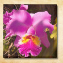 Buscar carmesí imanes Floral