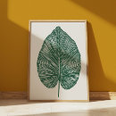 Buscar planta de plátano posters Verde