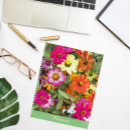 Buscar zinnias General y unisex