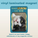 Buscar gato amarillo imanes Azul