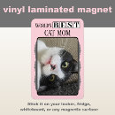 Buscar gato gris imanes Rosa
