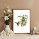 Buscar pájaros negros posters Naturaleza