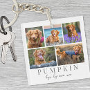 Buscar foto del perro llaveros Crea el tuyo propio