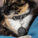 Buscar negro gato accesorios Blanco y negro