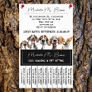 Buscar perro flyers Cuidado animal