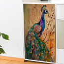 Buscar pavo real colorido papel de seda Desacoplar