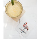 Buscar flamenco posavasos Florida