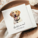 Buscar labrador decoracion Recuperador de labrador