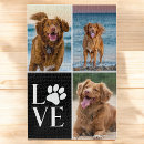 Buscar perros puzzles Para todos