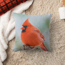 Buscar cardenales cojines Cardenal rojo