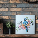 Buscar pájaro cardinal azulejos Vida silvestre