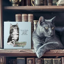 Buscar graciosas azulejos Humor