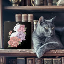 Buscar lavanda y blanco azulejos Para todos