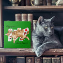 Buscar felines azulejos General y unisex