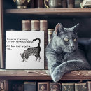 Buscar del gato azulejos General y unisex