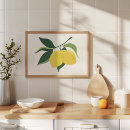 Buscar limones arte Limón