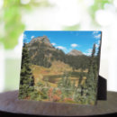 Buscar árbol placas fotograbadas General y unisex